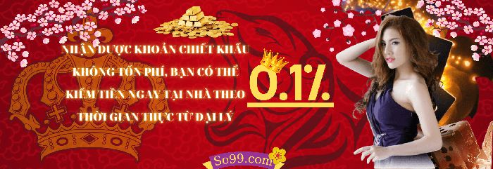 Chính sách hoa hồng cho đại lý cấp độ 1 Ds99 - Ds99