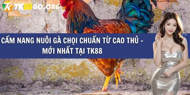 V9bet, trang web trò chơi câu cá này, cung cấp nhiều chương trình khuyến mãi hấp dẫn - V9bet