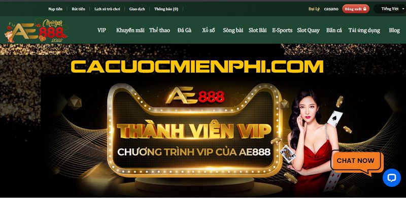 Nhận tin tức và thông tin mới nhất từ W388 - W388
