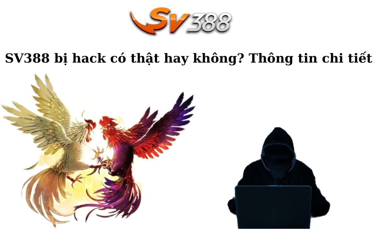 Ưu điểm của đá gà trực tuyến cấp 88T - 88T