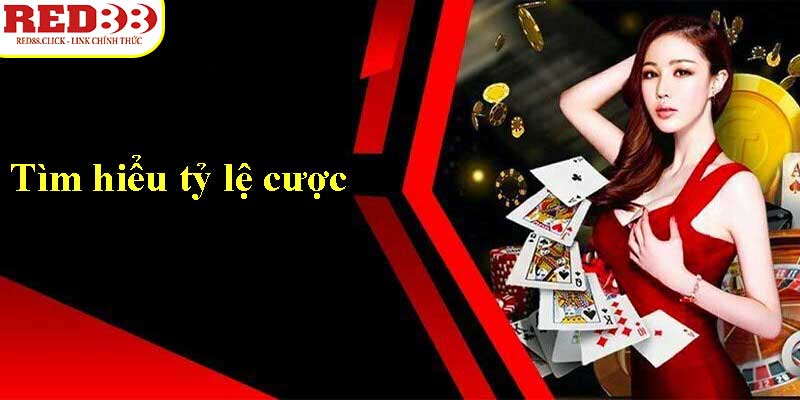 V9bet tổ chức nhiều sự kiện quảng bá chọi gà vô cùng hấp dẫn - V9bet