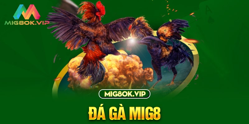 Gnbet Arcade cung cấp các ưu đãi và khuyến mãi độc quyền - Gnbet