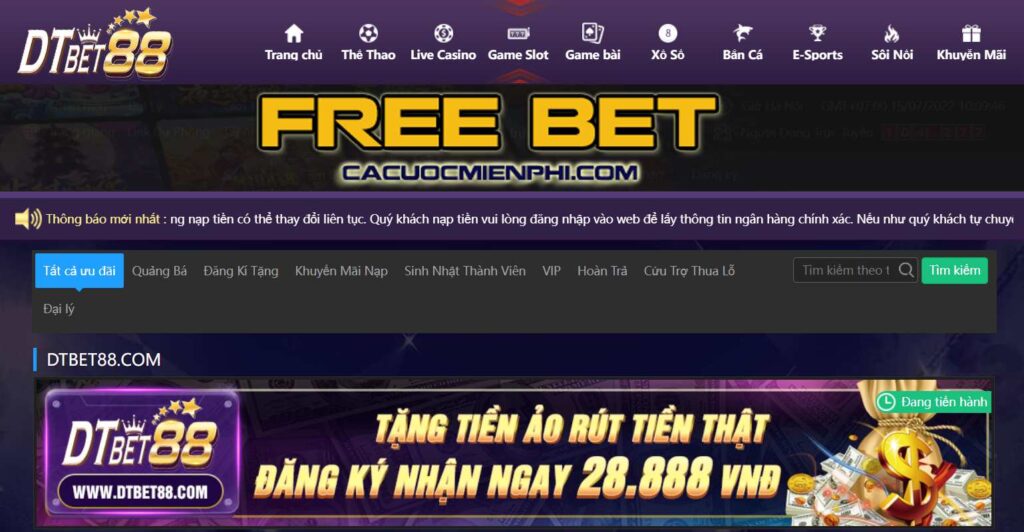 Tổng quan về sảnh cá cược trò chơi bài V6bet - V6bet