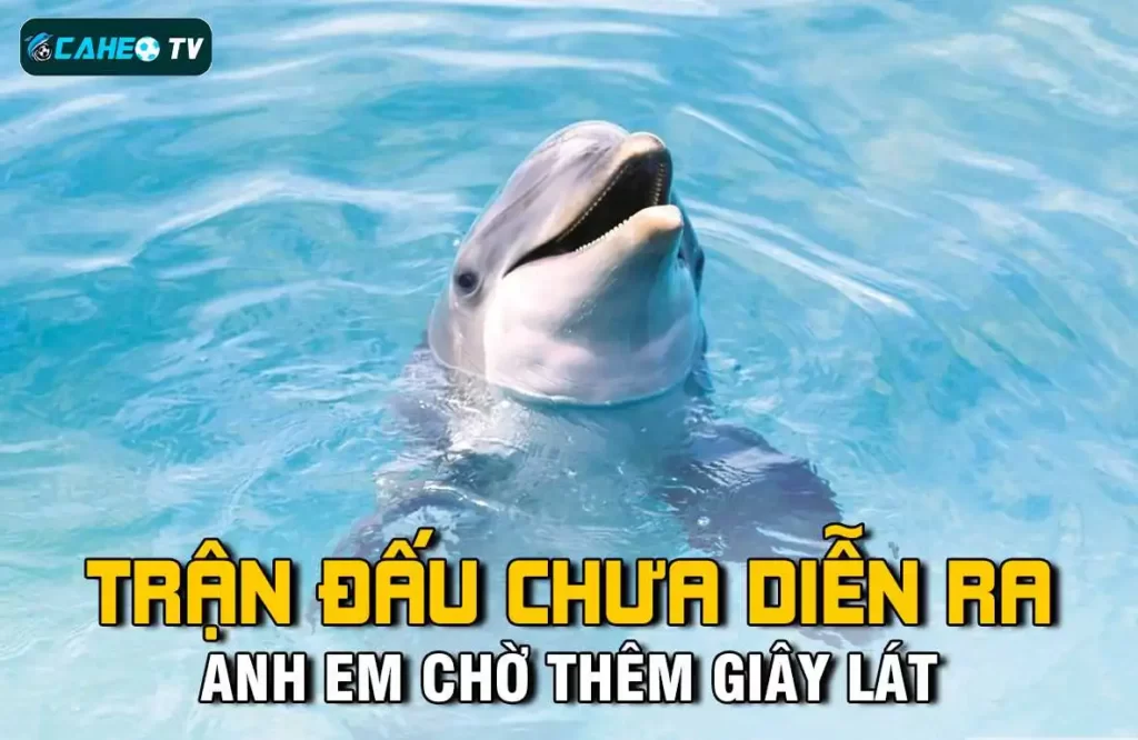 Tôi đăng ký tham gia Vin77 Live như thế nào? - Vin77