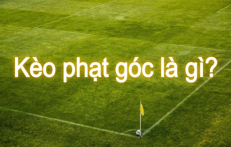Chương trình quảng bá vận động viên cấp 89Bet - 89Bet